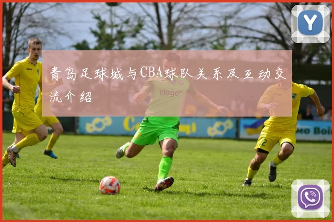 青岛足球城与CBA球队关系及互动交流介绍
